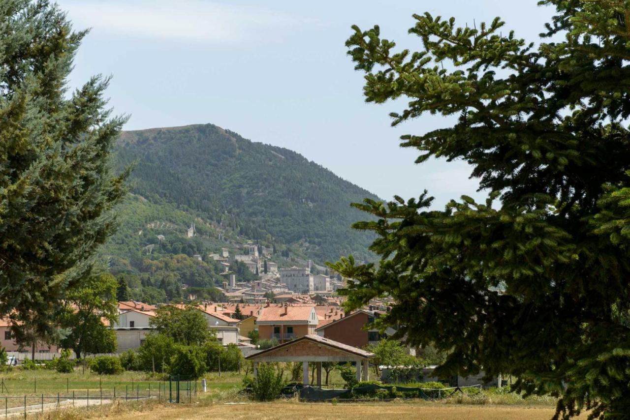 La Casa Dei Pini